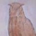 The Owl