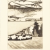 tundra