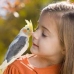 Caring for Pets