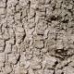 Texture 2