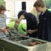Laying the bricks for our Justa stove