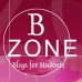 blog zone