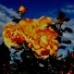 flower2