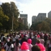 Toronto Breast Cancer Run/Walk